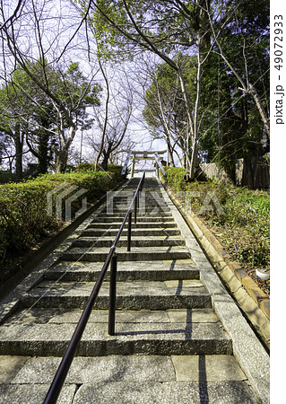山口 下関 櫻山神社 鳥居 石段 山口 下関 櫻山神社 鳥居 石段 49072933