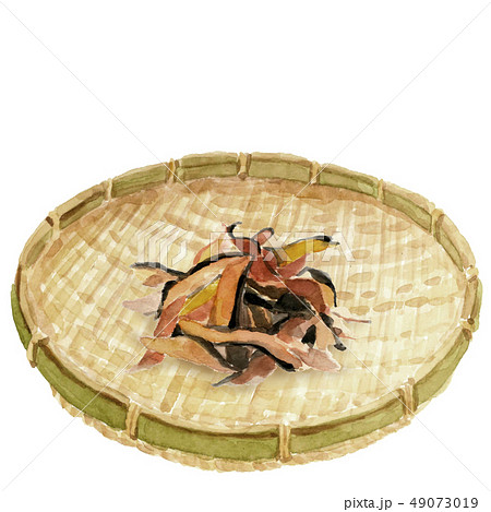 削り節 ざる 49073019