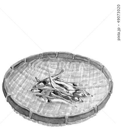 煮干し ニボシ ざる 水墨画 墨 モノトーン 49073020