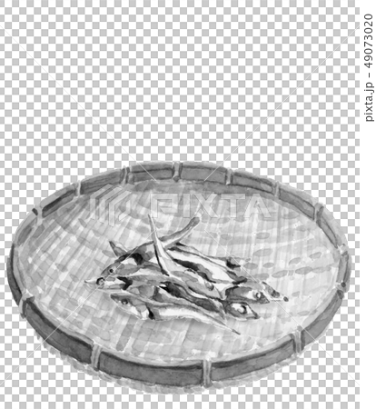 煮干し ニボシ ざる 水墨画 墨 モノトーン 49073020