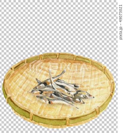 煮干し ニボシ ざる 笊 【手描き水彩画】白バック コピースペースあり 49073021