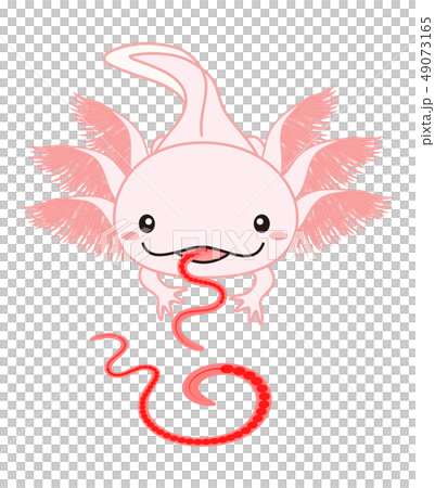 エサを食べるウーパールーパー Axolotl ピンクのイラスト素材