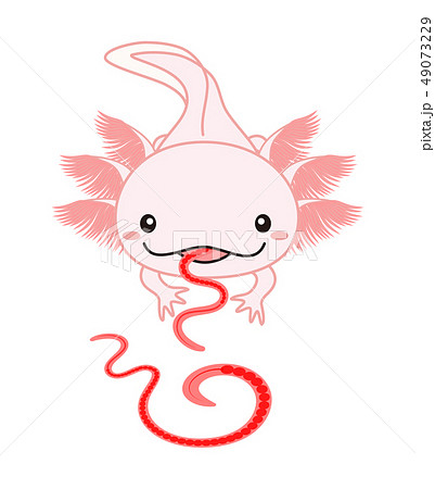 エサを食べるウーパールーパー Axolotl ピンクのイラスト素材