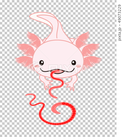 エサを食べるウーパールーパー Axolotl ピンクのイラスト素材