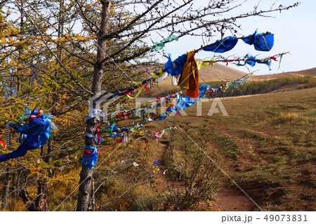 Colorful ribbons on the tree , Lake Baikal, Russia Colorful ribbons on the tree , Lake Baikal, Russia 49073831