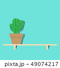 illustration of cactus in pot on wooden shelf 49074217