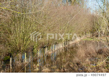 Flooded Wetlands in East-Flanders 49074497