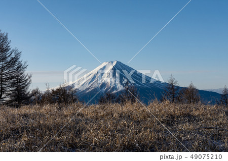 草原の先の富士山 49075210