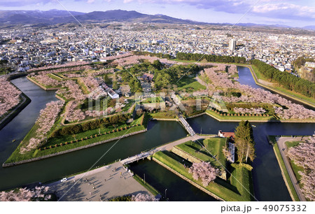 桜満開の五稜郭 桜満開の五稜郭 49075332