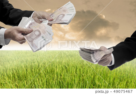 Invest in rice farm concept Invest in rice farm concept 49075467