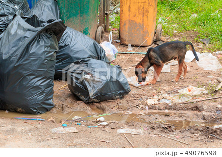 Pile garbage black bag plastic roadside Pile garbage black bag plastic roadside 49076598