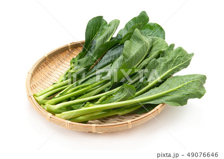 茎立菜 茎立菜 49076646