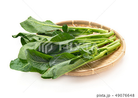茎立菜 49076648