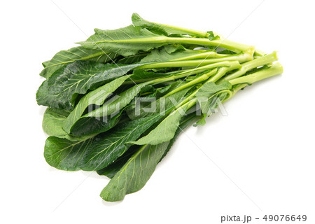 茎立菜 49076649