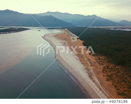 柏原海岸の海と松林 49078196