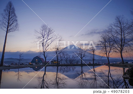 ふもとっぱらの朝焼け逆さ富士(静岡県・3月) 49078203