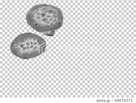 しいたけ 水墨画イラスト グレー 手書きのイラスト素材