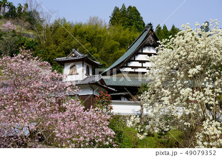 寺の春 49079352