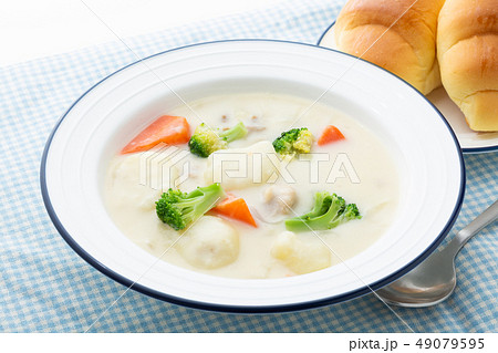 シチュー 49079595