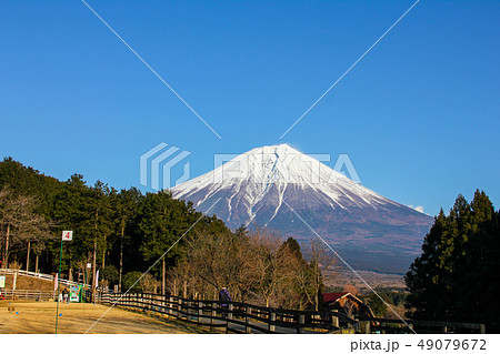 まかいの牧場から見える富士山 49079672