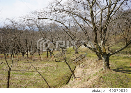 日本の城高水寺城跡 49079836