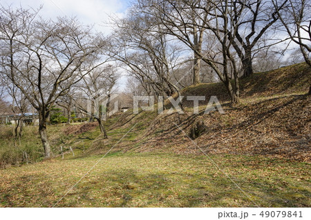 日本の城高水寺城跡 49079841