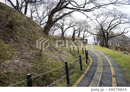 日本の城高水寺城跡 49079844