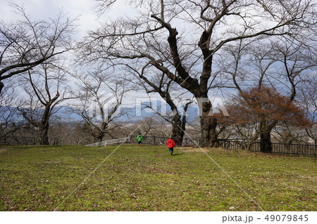 日本の城高水寺城跡 49079845