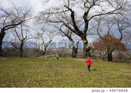 日本の城高水寺城跡 日本の城高水寺城跡 49079846