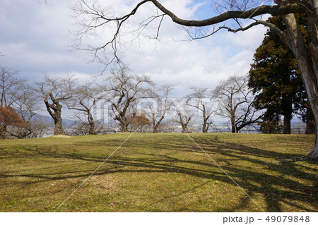 日本の城高水寺城跡 日本の城高水寺城跡 49079848