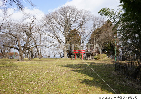 日本の城高水寺城跡 49079850
