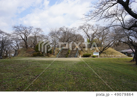日本の城高水寺城跡 49079864