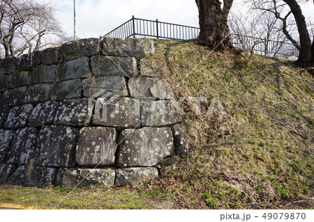 日本の城高水寺城跡 49079870