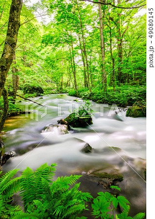 奥入瀬渓流 49080145