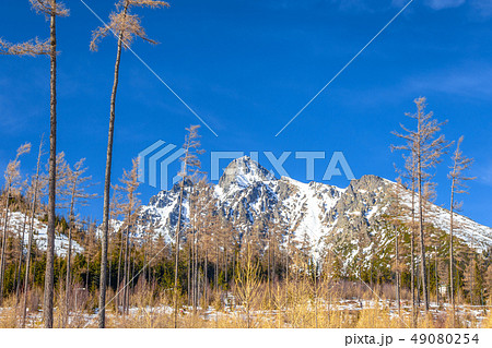 View of the landscape with snowy mountains. 49080254