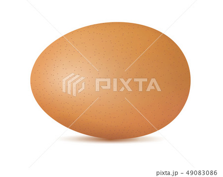 Vector single realistic animal egg. Chicken egg Vector single realistic animal egg. Chicken egg 49083086