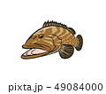 クエ 49084000