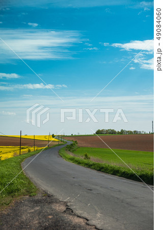 Road between rape fields Road between rape fields 49084060