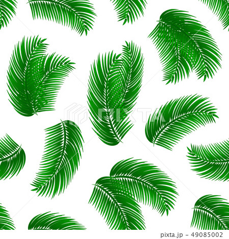 Palm leafs seamless pattern. 49085002