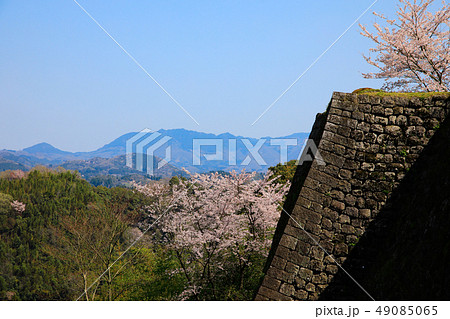 竹田市　春　桜咲く岡城址と遠くに見えるくじゅう連山 49085065