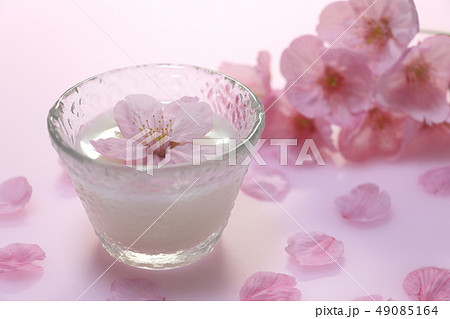 花見酒（にごり酒）イメージＮｏ．４ 49085164