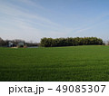 牧草畑と牧場 49085307