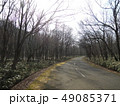冬の山道 49085371