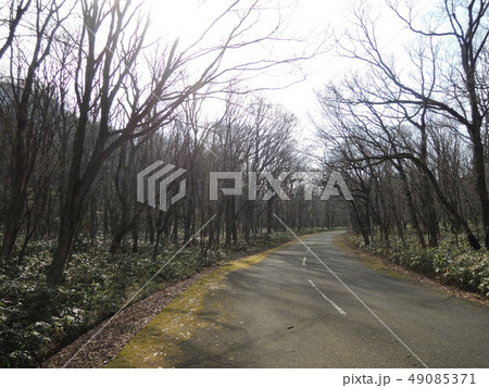 冬の山道 49085371