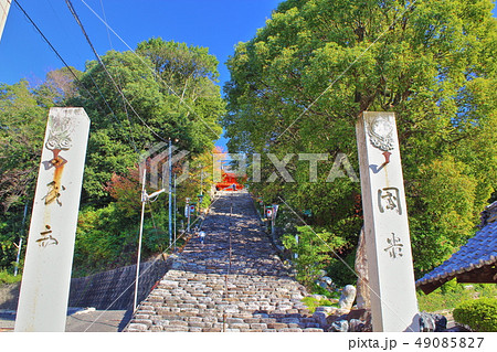【愛媛県松山市】　道後　伊佐爾波神社 49085827