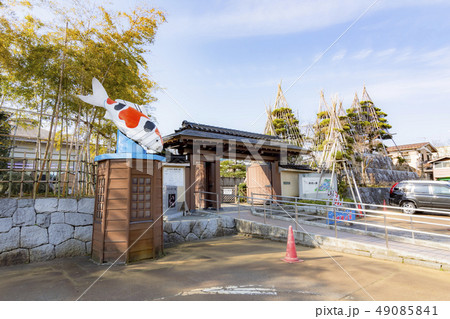 小千谷市錦鯉の里 49085841