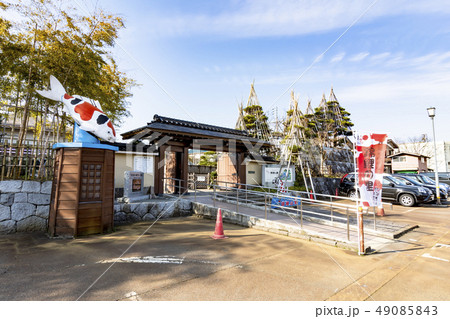 小千谷市錦鯉の里 小千谷市錦鯉の里 49085843