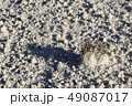 Soil erosion, white sand 49087017
