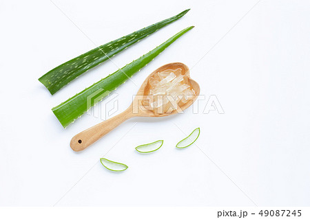 Aloe vera is a popular medicinal plant for health Aloe vera is a popular medicinal plant for health 49087245