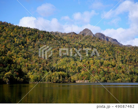 さっぽろ湖の紅葉 さっぽろ湖の紅葉 49087462